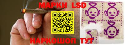 индика Донецк
