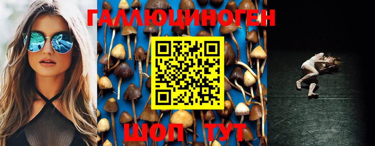 Псилоцибиновые грибы мицелий Людиново