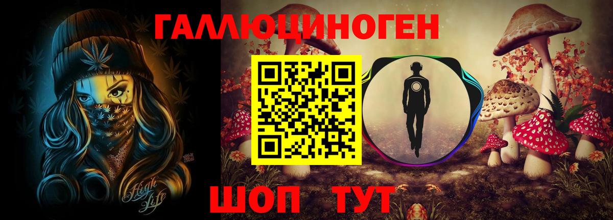 Людиново  Галлюциногенные грибы Psilocybine cubensis  где купить наркотик  Вход с VPN 